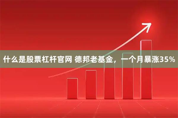 什么是股票杠杆官网 德邦老基金，一个月暴涨35%